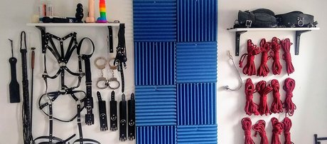 Scarlet Lee perfect star galleries