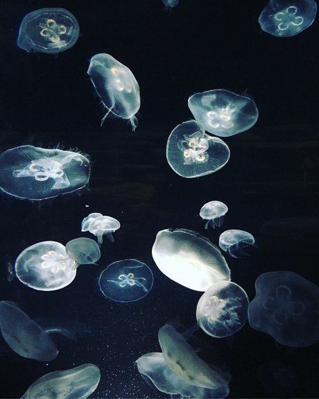 masturbation squirt onlyfans free xxx gallery