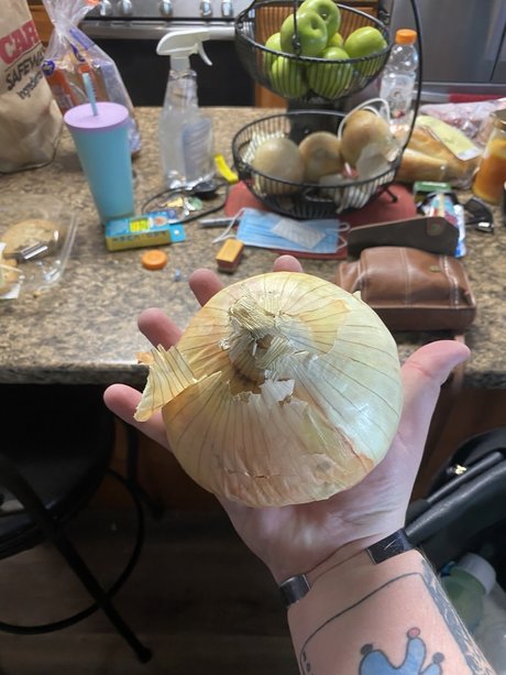 Dontask donttell model best galleries