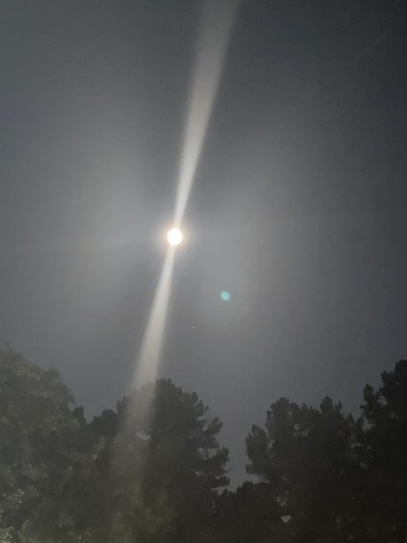 Ign2017 model nudes img