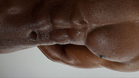 stars onlyfans free gallery