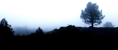 Jayjayjayx star nude img