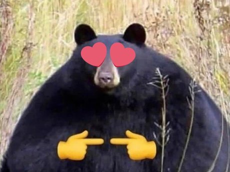 JB the Jawbreaker Bear model nice image