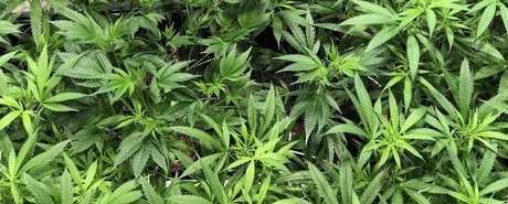 Kara Mel_ nudes actress galleries