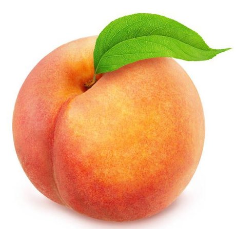 HugeFatBum exclusive model image