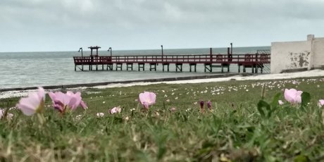 Mistwolfs actress image