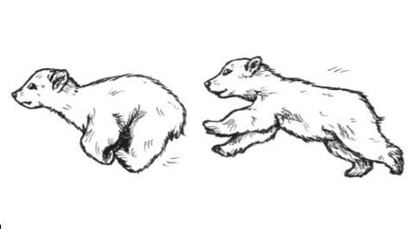 Morbo_ nice actress images