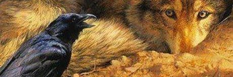 Vance Hazelton nice pornstar images