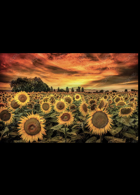 Brittany Snow erotic pornstar galleries