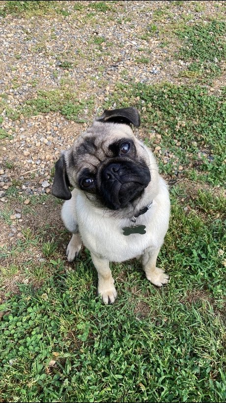 hisreverie model porn photo