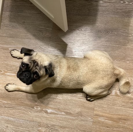 hisreverie sex pornstar pic