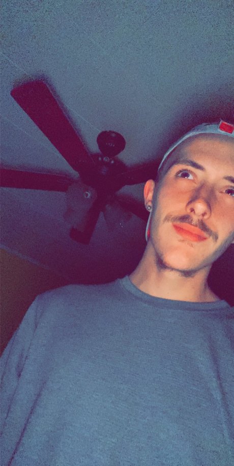 Matthew Campisi porn actress image