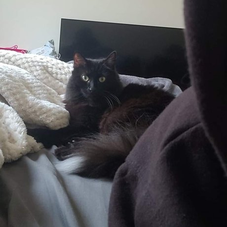 Camie Beilschmidt sex star pic