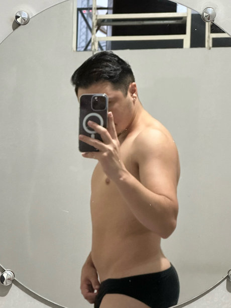 Harri best model img