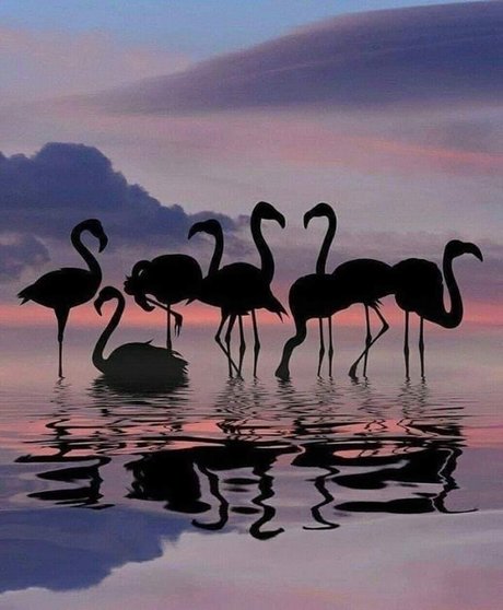 Chrissy G xxx star gallery