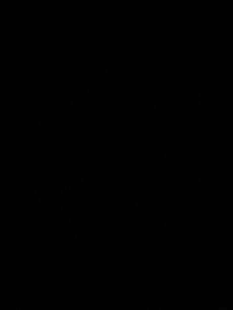 Btmlivesmatter pornographic model photo