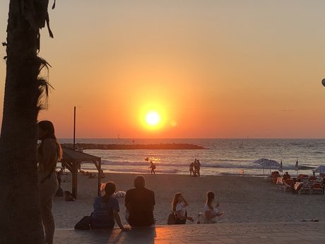 Yas o sex actress image