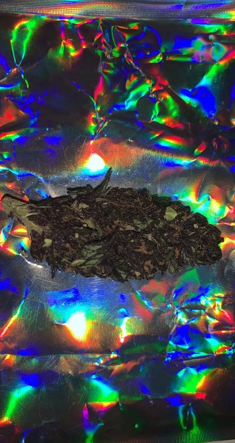 Alexander the Great exclusive actress photos