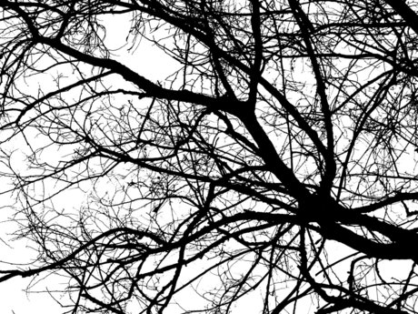 Morgan Modeus nice star pics