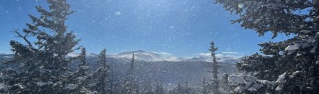 Alisha Dallas pornographic actress pictures