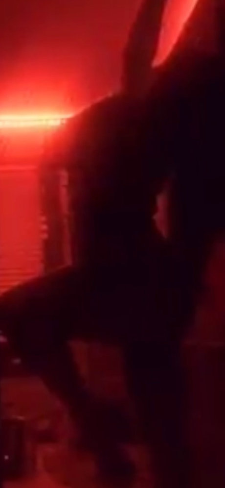 Gigi Johnson star sex archive