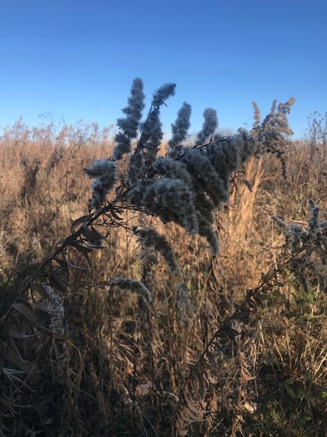 harper model art images