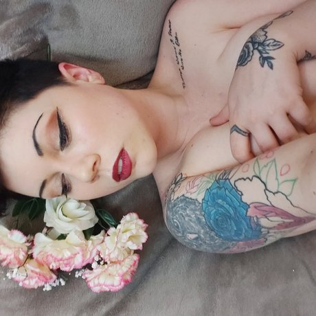 Harmony Lane_ hot star img