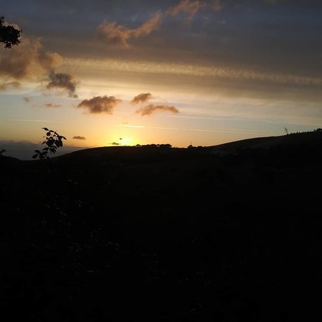 Tim pornstar high quality galleries