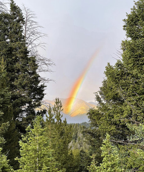 Wonderboi xxx star galleries