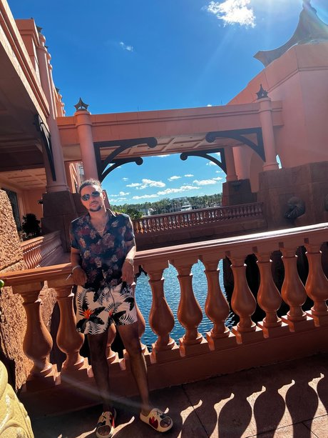 Tzeph art star picture