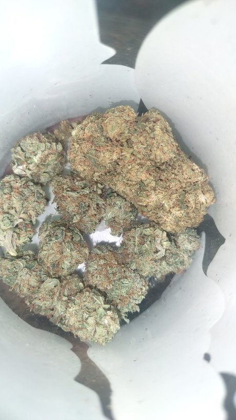 waitress onlyfans hot sexy archive