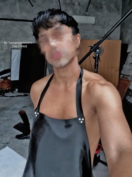 MR Tapegaggedasians free actress gallery