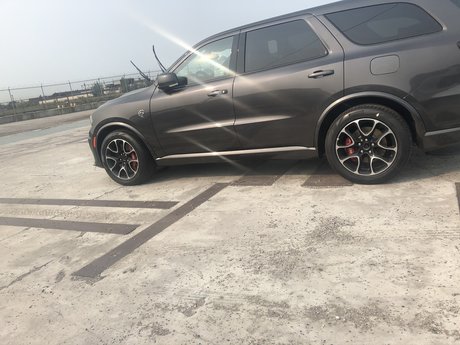 MrShowOutDetroit pretty model photo