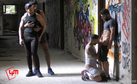 niko azraelfree exclusive star image