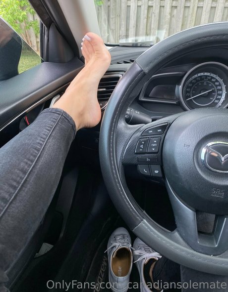 canadiansolemate star hd photos