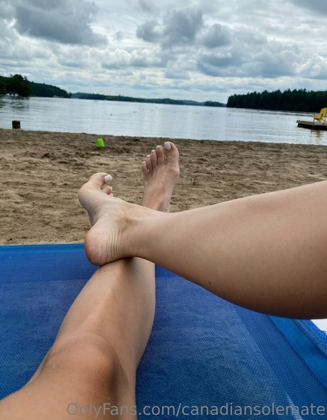 canadiansolemate top star picture