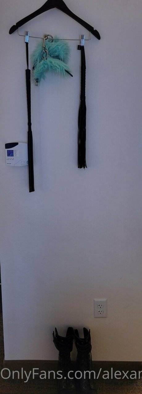 alexandrabbits star art galleries