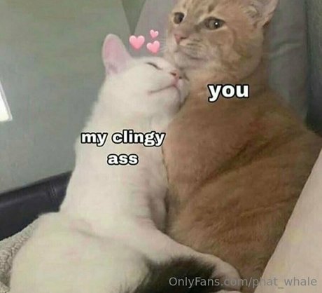 femdom facesitting onlyfans sexy nude archive