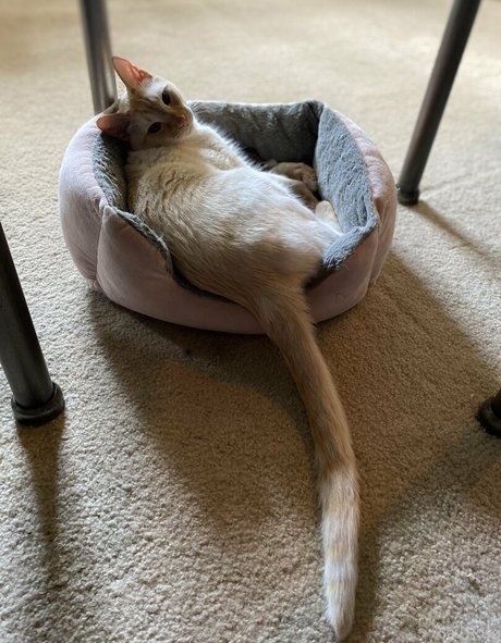 sexy selfie onlyfans pornos photos