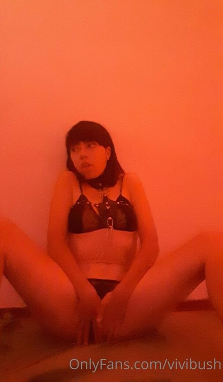 vivibush pornstar pictures