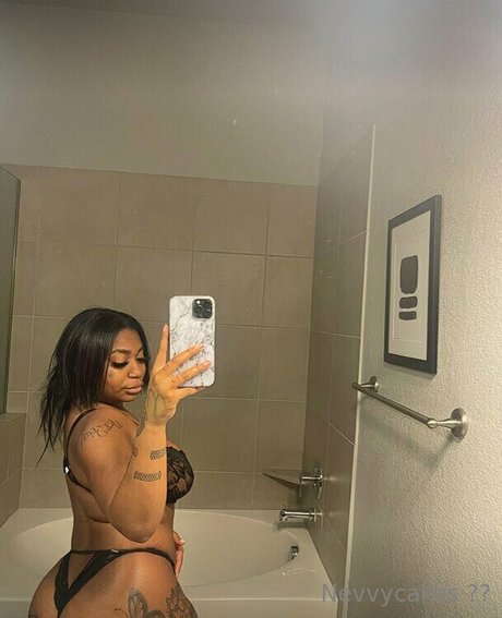 Nevvycakes model img