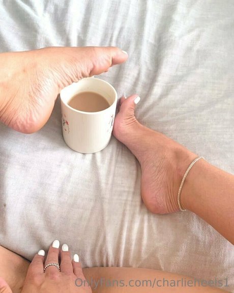 charlieheels1 erotic pornstar pics