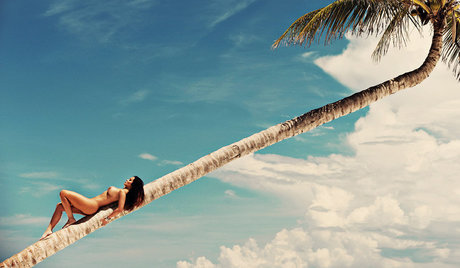 Carol Nakamura star art images