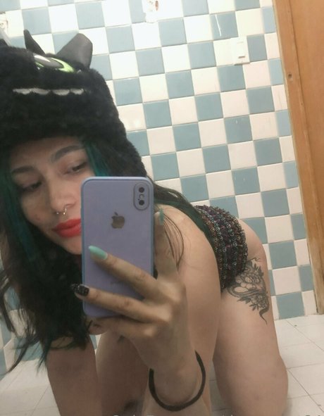 dayamont84 star hot archive