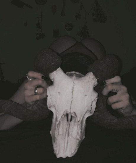 blowbang onlyfans nudes photo