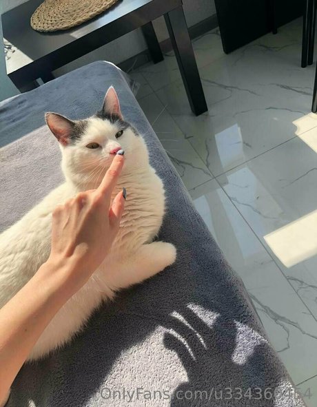 emma gucci xxx actress gallery