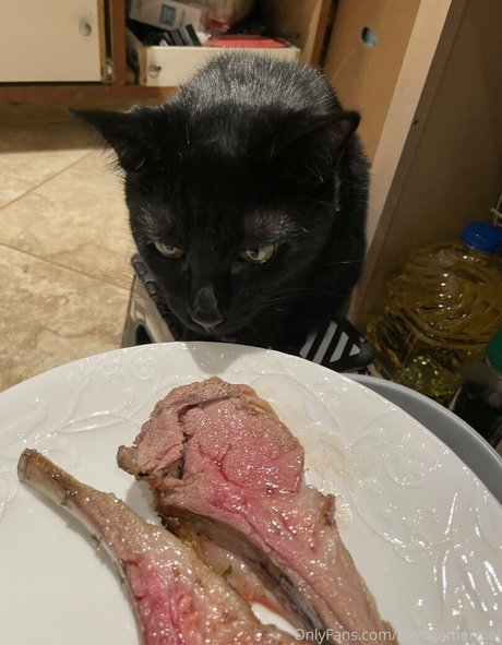 lewdgamermel pretty star photo