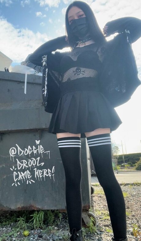 Doggie Drool star perfect images