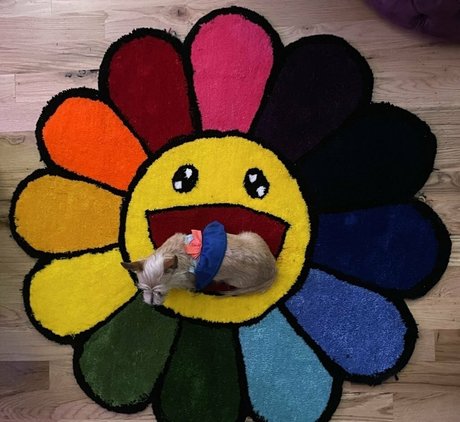 thick girls onlyfans nice gallery