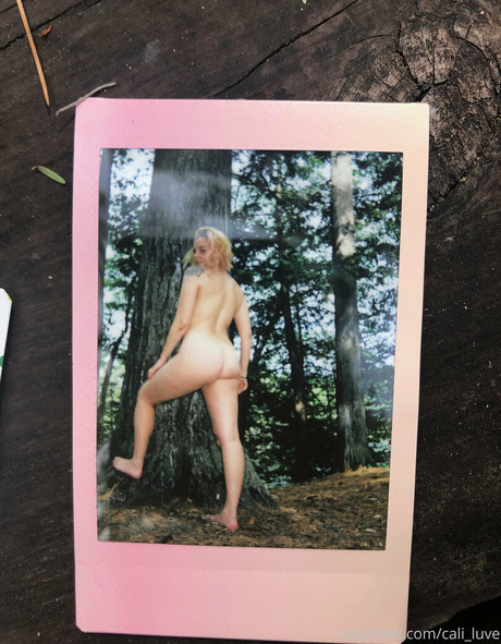 licking pussy onlyfans pornos photo